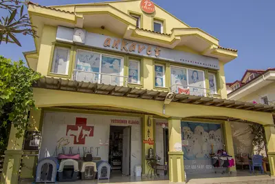 Ankavet Veteriner kliniği