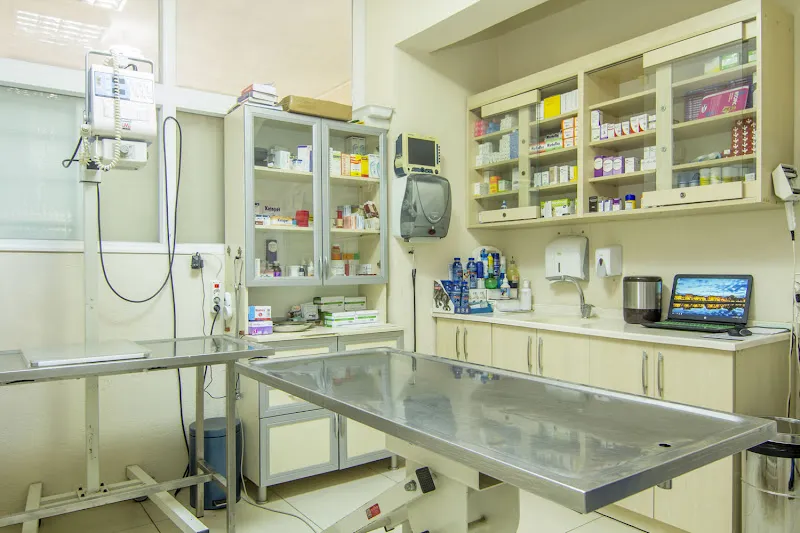 Ankavet Veteriner kliniği foto 2