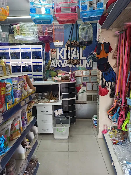 Kral Akvaryum Petshop foto 1