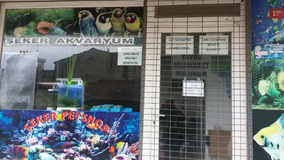 Şeker Akvaryum