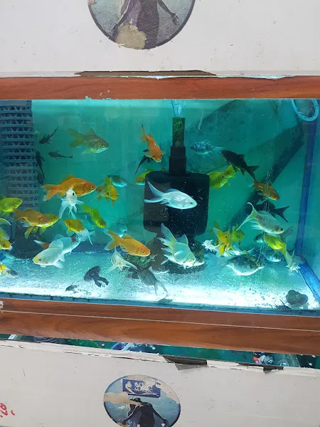 Özgür Akvaryum Kuş & Balik Galerisi foto 2
