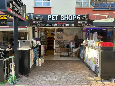 Pet Shop 6