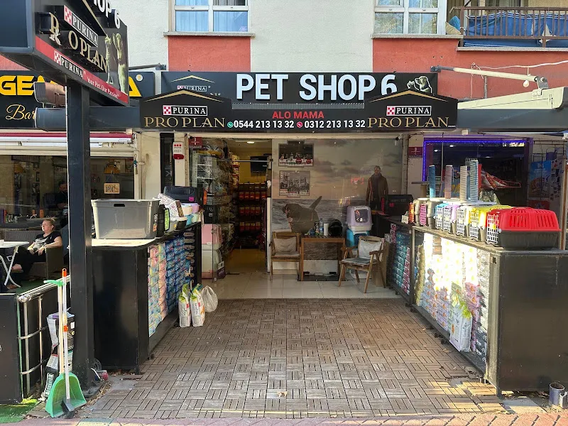 Pet Shop 6 foto 1