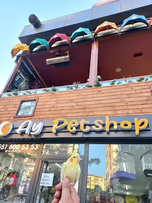 AY PETSHOP PETKUAFÖR EVCİL HAYVAN MAĞAZASI PENDİK PETSHOP TUZLA PETSHOP KAYNARCA PETSHOP
