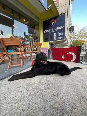 KİM BU Petshop & Pet Kuaför