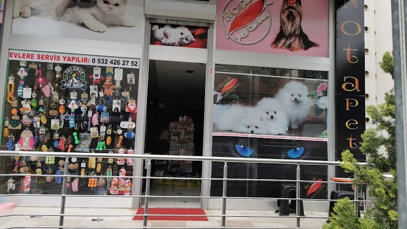 Nota Pet Center & NOTA PET KUAFÖR PET COİFFEUR foto 2
