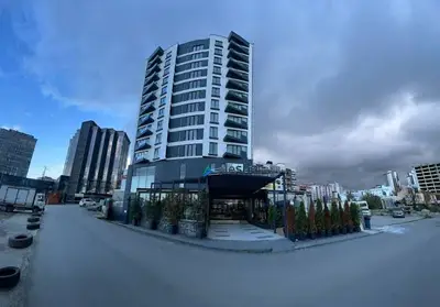 Alesha Suite
