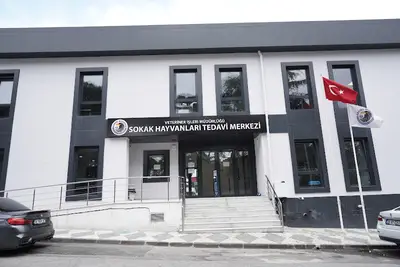 Kartal Belediyesi Veteriner İşleri Müdürlüğü