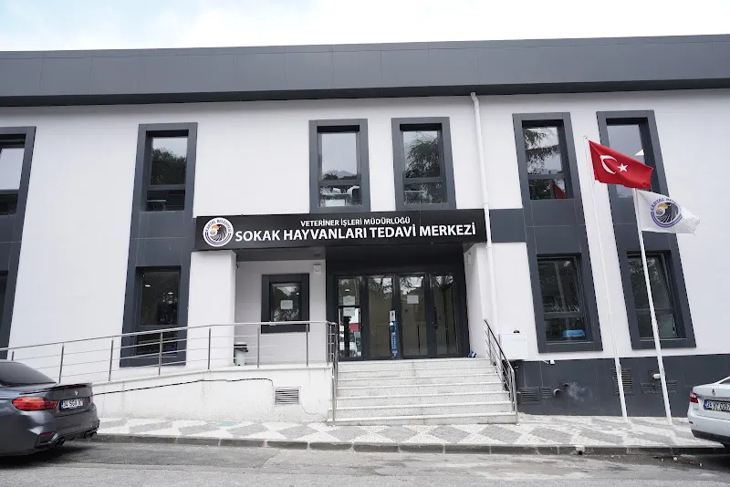 Kartal Belediyesi Veteriner İşleri Müdürlüğü foto 1