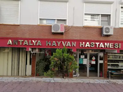 Antalya Hayvan Hastanesi