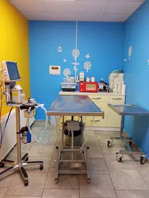Petopia Ümraniye Veteriner Kliniği 7/24 (Pet, Kuş ve Egzotik Hayvanlar)