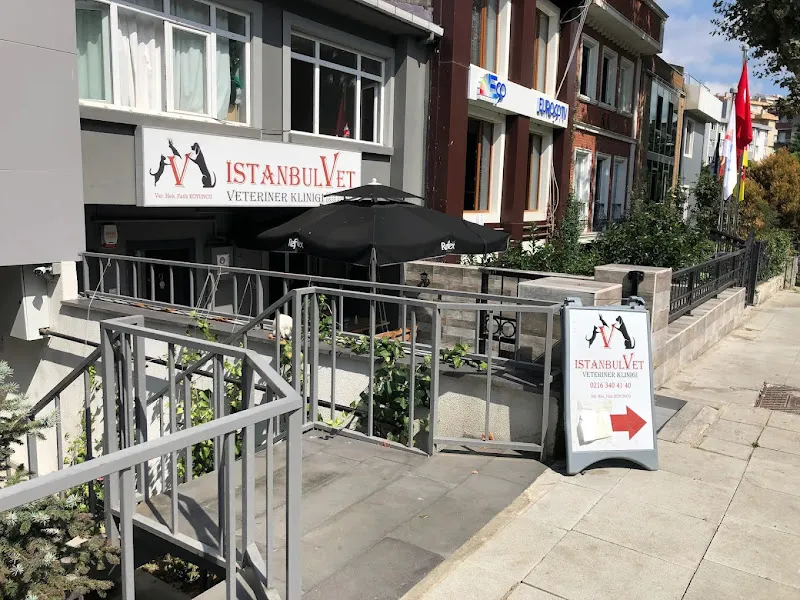 İstanbulVet Veteriner Kliniği foto 1