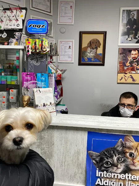 İstanbulVet Veteriner Kliniği foto 2