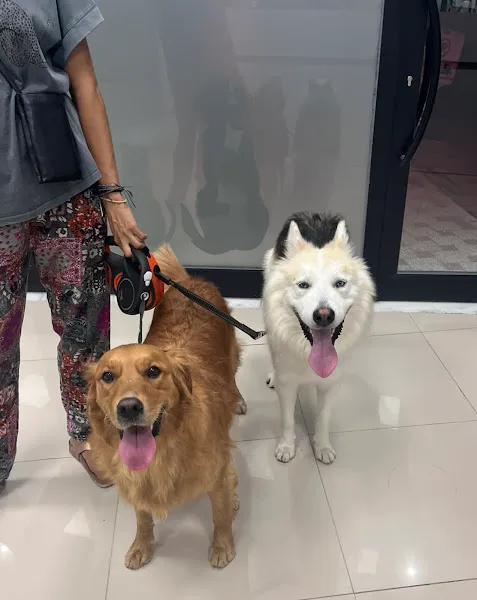 Loren Veteriner Kliniği foto 2