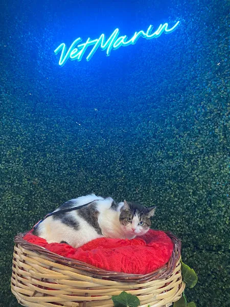 SAMSUN VETMARİN VETERİNER KLİNİGİ foto 2