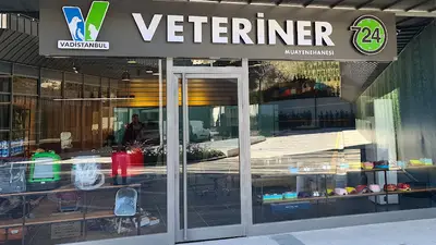 Vadistanbul Veteriner Klinigi