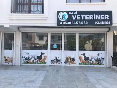 Ankara Gazi Veteriner Kliniği