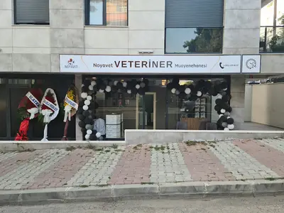 Noyavet | 7/24 Nöbetçi Veteriner Kliniği