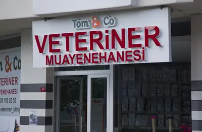 Tom&Co Veteriner Kliniği 7/24