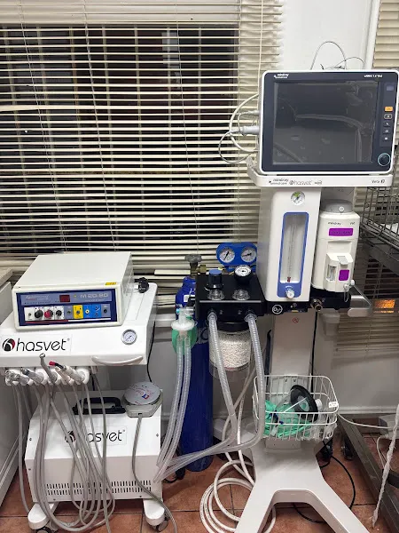 Dragos Veteriner Kliniği foto 2