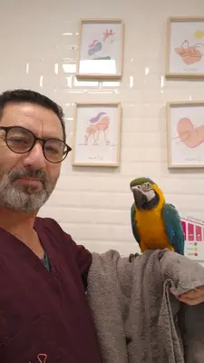 VETİSTANBUL VETERİNER KLİNİĞİ - KAĞITHANE