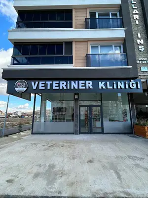 Sincan Yenikent Neo Vita Veteriner Kliniği