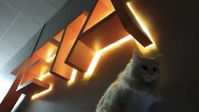 Gölbaşı Zeta Veteriner Kliniği
