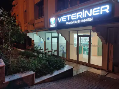 Florium Veteriner Muayenehanesi