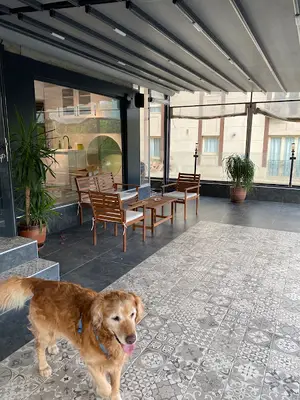 Gloria Veteriner Kliniği 7/24