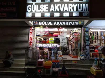 GÜLSE PETSHOP