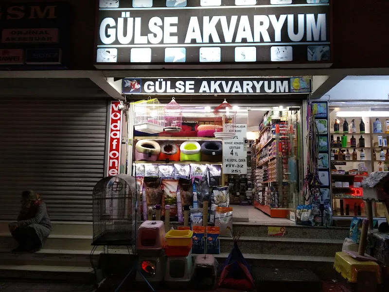 GÜLSE PETSHOP foto 1