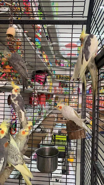 Karşiyaka Pet Shop foto 2