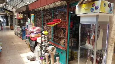 Beşiktaş Akvaryum & Petshop