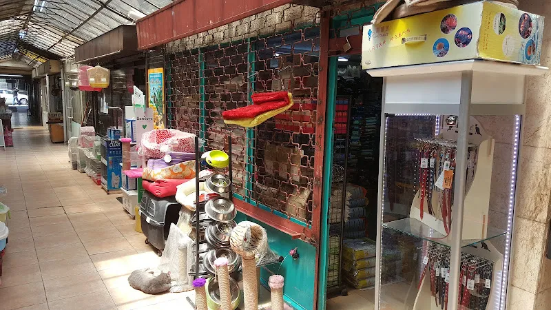 Beşiktaş Akvaryum & Petshop foto 1