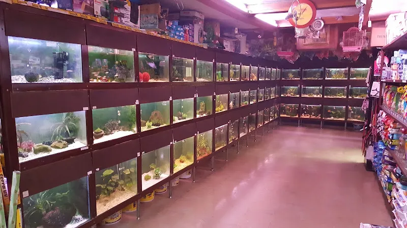 Beşiktaş Akvaryum & Petshop foto 2