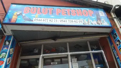 Bulut Petshop