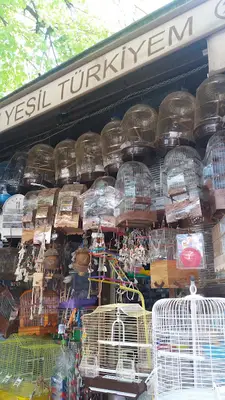 Yeşil Türkiyem
