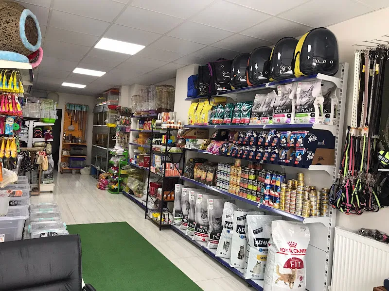 LİVAMİR PETSHOP AKVARYUM foto 2