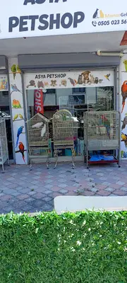 Asya Petshop