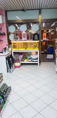 Ege petshop