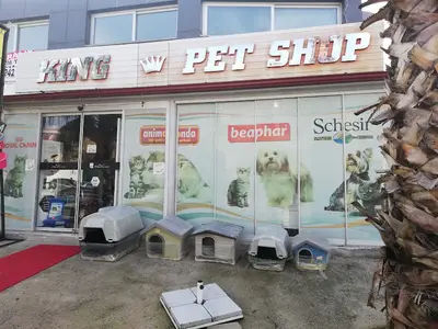 KING PETSHOP URLA MAĞAZA