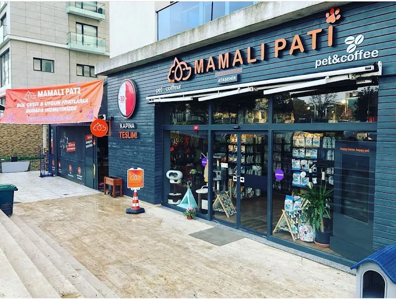 Gözlüklü Petshop foto 1