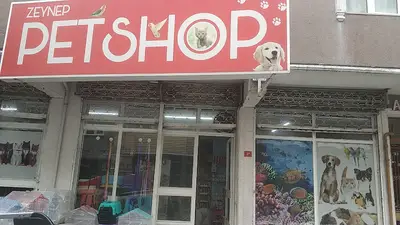 zeynep akvaryum petshop