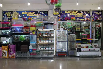 mercan petshop kırıkkale