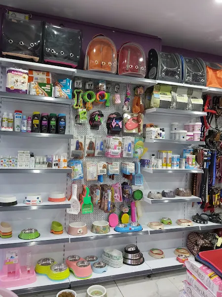 luna petshop foto 2
