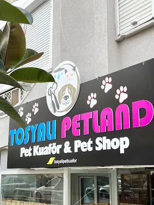 Antalya Muratpaşa Tosyalı Pet Kuaför