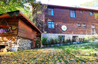 Küre Dağ Evi