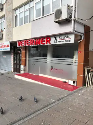 Şirinvet Veteriner Kliniği | Kedi, Köpek, Kuş ve Egzotik