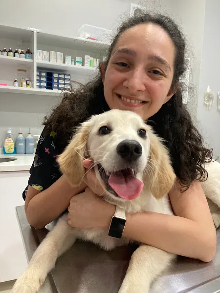 Şirinvet Veteriner Kliniği | Kedi, Köpek, Kuş ve Egzotik foto 2