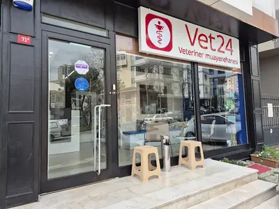 Özel Kartal Vet24 Veteriner kliniği